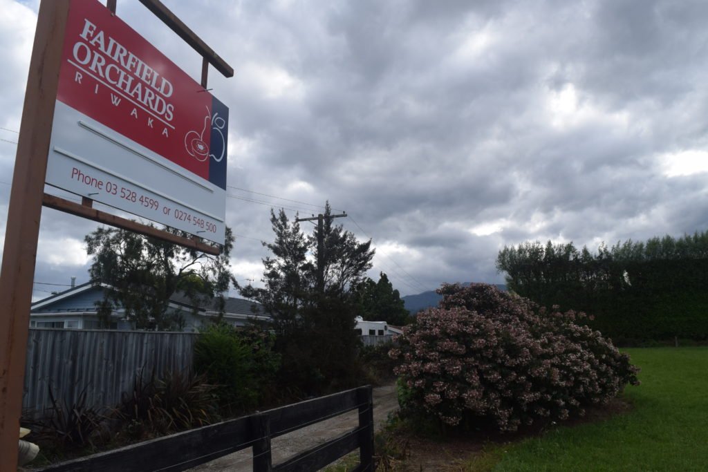 apple picking jobs in motueka